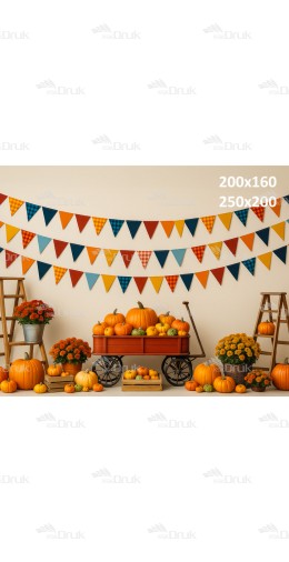 Tło fotograficzne Jesień, Dynie J_209